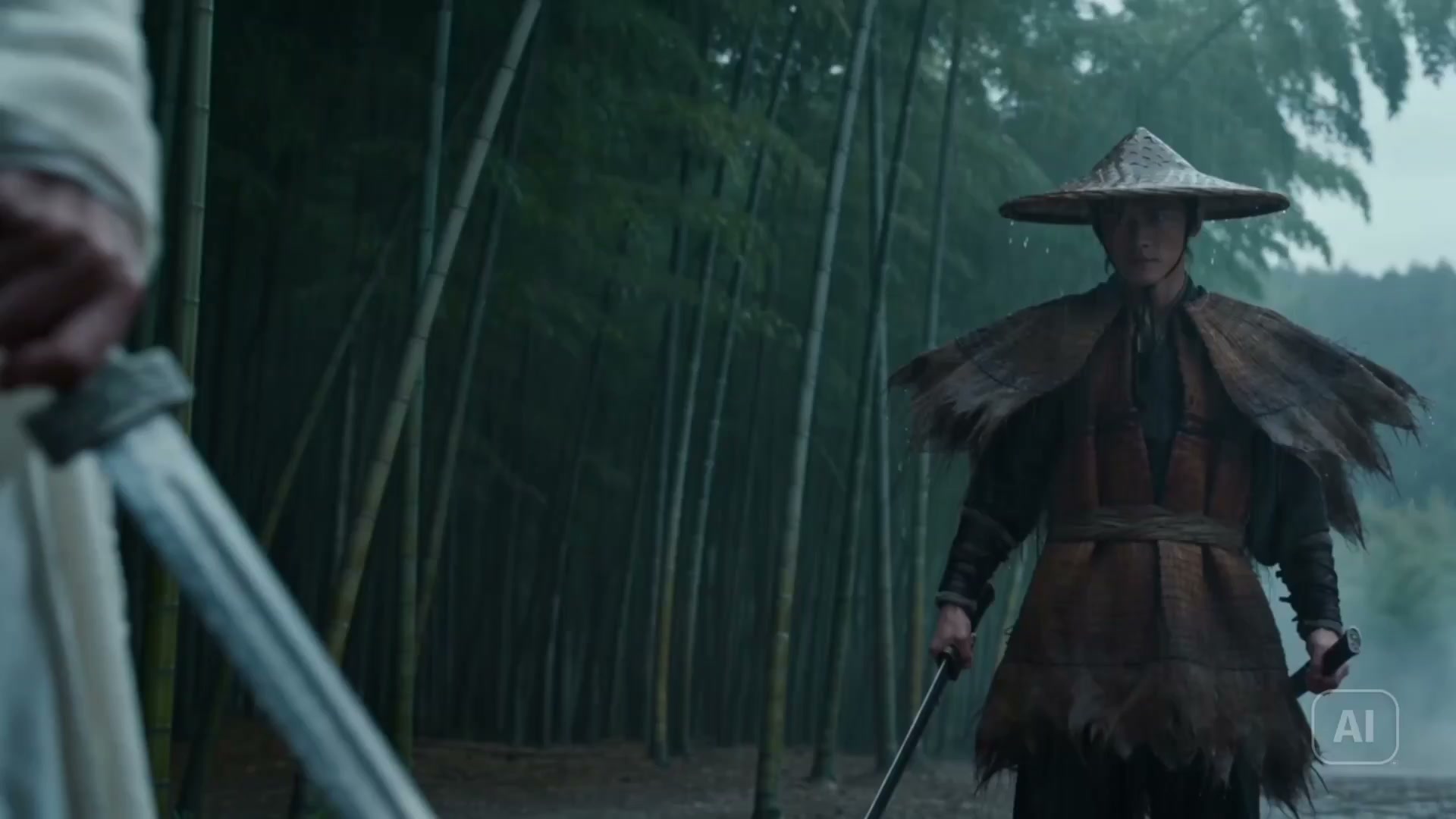 竹林雨夜双侠决斗慢动作 · 来源示例