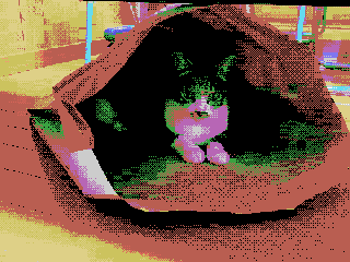 示例 1