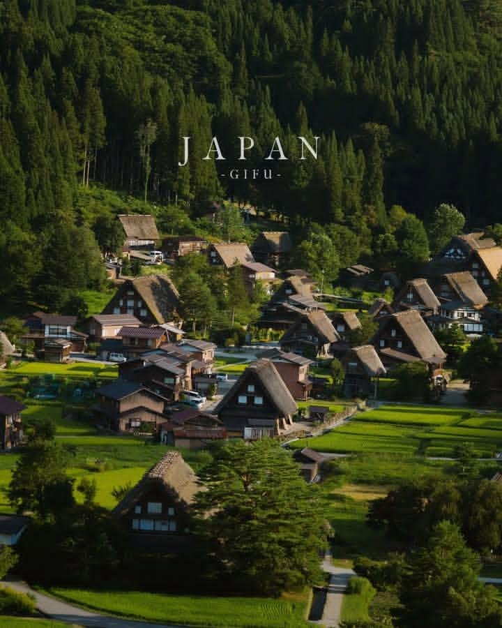 示例 2