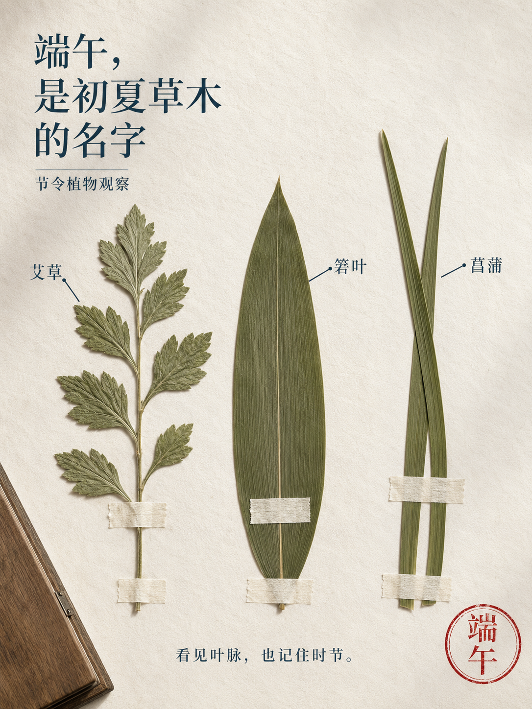 示例 1