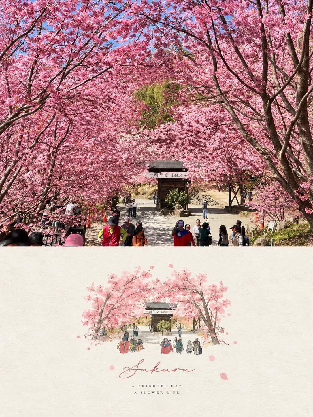 照片转手绘插画编辑海报 示例图