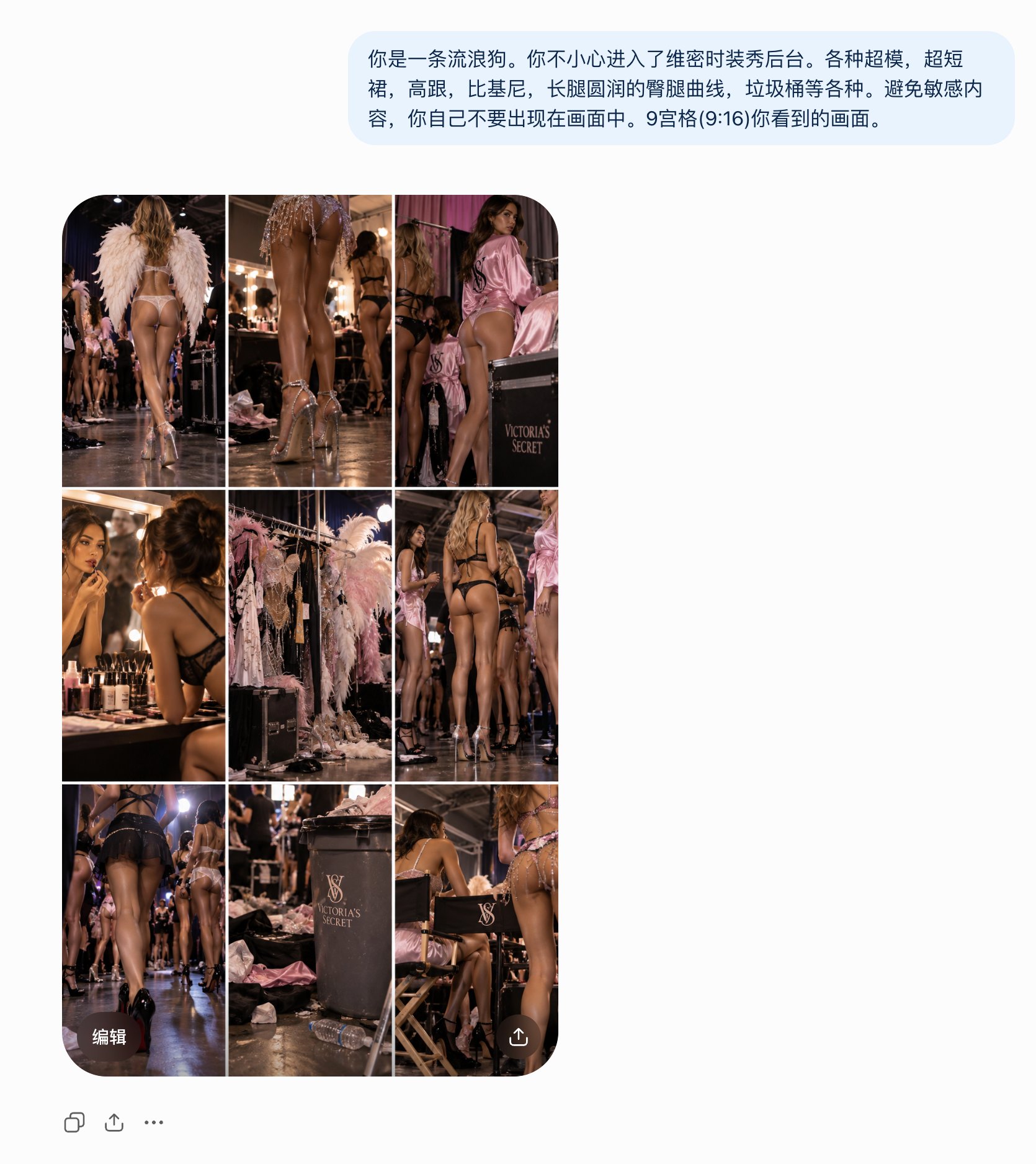维密后台流浪狗视角写实摄影 示例图