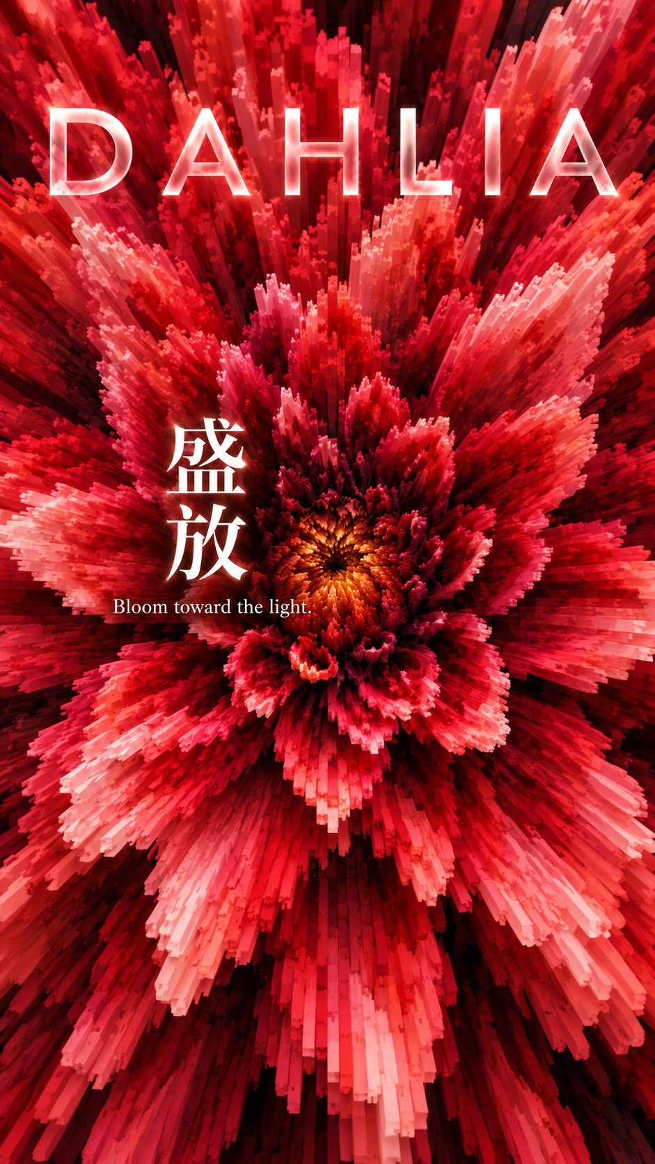 示例 1
