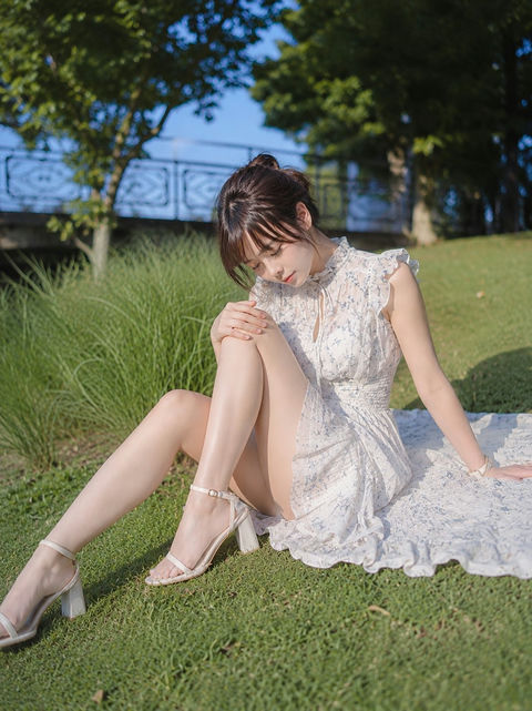 草坪上舒展裙摆的优雅日本女性肖像 - AI图片提示词示例