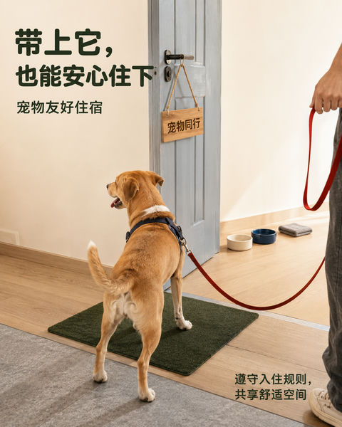 带上它也能安心住下：宠物友好民宿海报 - AI图片提示词示例
