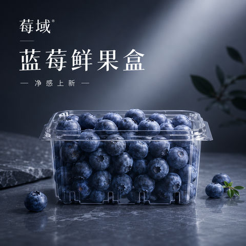 极简蓝莓鲜果高级感品牌社媒视觉KV - AI图片提示词示例