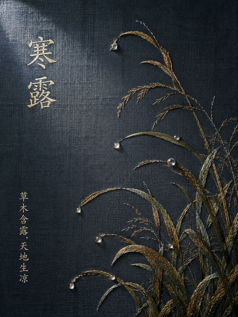 寒露节气深蓝绢布刺绣艺术海报 - AI图片提示词示例