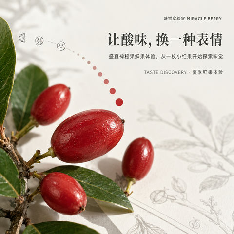 味觉实验室：盛夏神秘果实微距摄影 - AI图片提示词示例