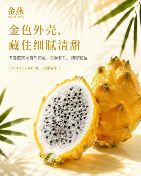 金燕燕窝果冬春季品牌海报 - AI图片提示词示例