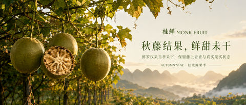 桂北秋色罗汉果：藤间鲜甜的品牌视觉大片 - AI图片提示词示例