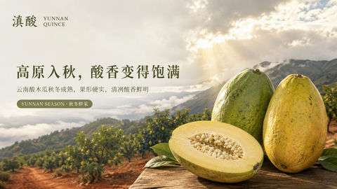 高原入秋酸香饱满，云南酸木瓜品牌视觉大片 - AI图片提示词示例