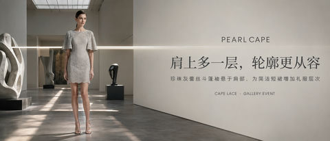 极简珍珠灰蕾丝斗篷裙美术馆品牌视觉 - AI图片提示词示例