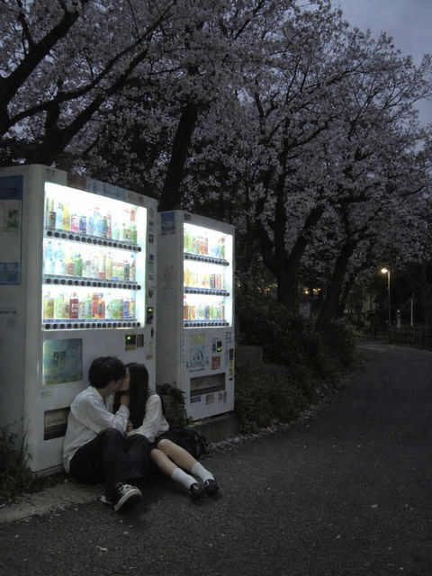 超写实傍晚樱花公园售货机前亲吻的青年 - AI图片提示词示例