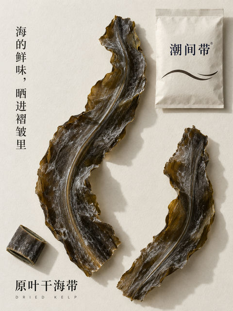 潮间带深褐海带质感纹理海报 - AI图片提示词示例