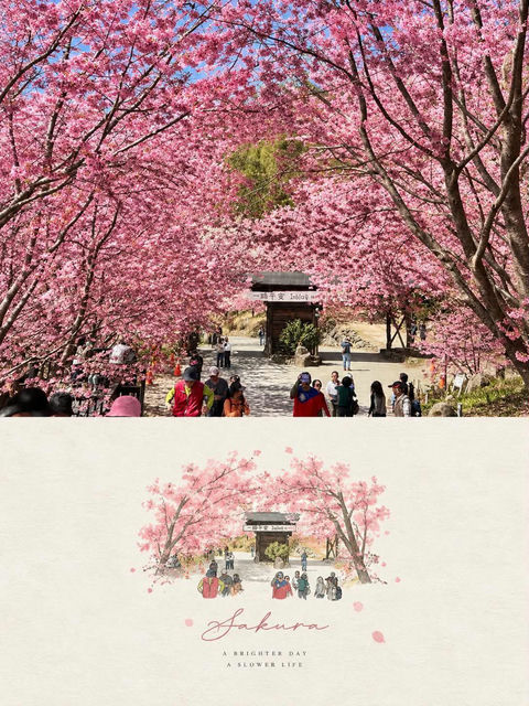 照片转手绘插画编辑海报 - AI图片提示词示例