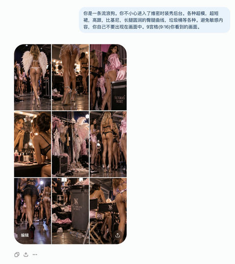 维密后台流浪狗视角写实摄影 - AI图片提示词示例